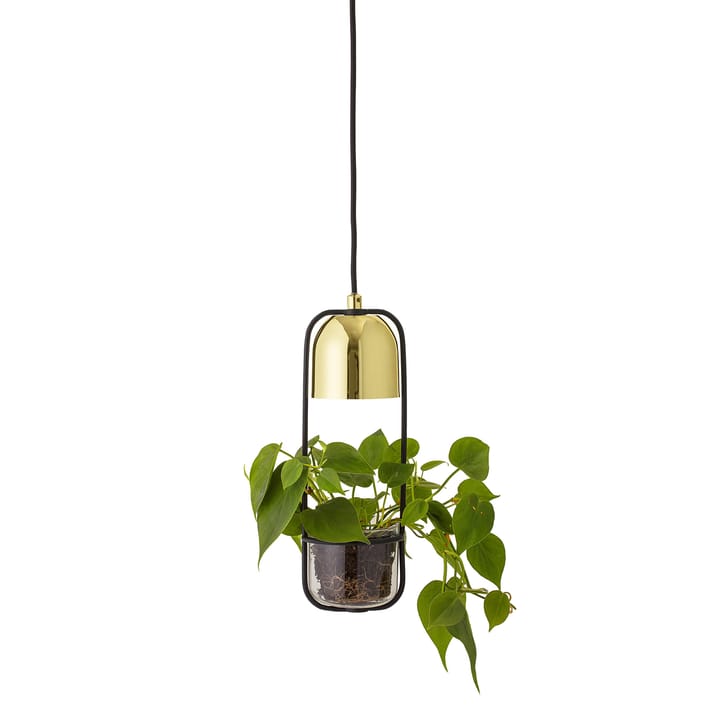 Bloomingville ceiling lamp with hanging basket Ø10 cm, clear-gold Bloomingville