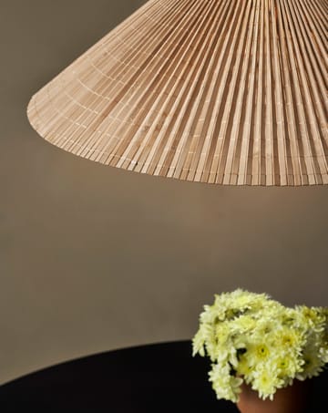 A1972 ceiling lamp Ø60 cm - Bambu-brass - GUBI