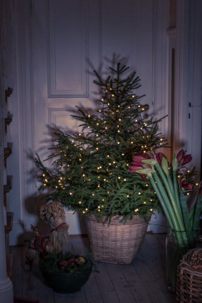 Weihnachtsbaumlichterkette 200 Lichter 240 cm - Grün - Konstsmide