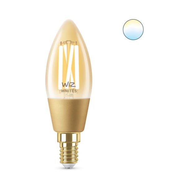 Philips WiZ Light Bulb E14 25W - Amber - Philips WiZ