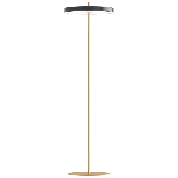 Asteria golvlampa, Anthracite grey Umage